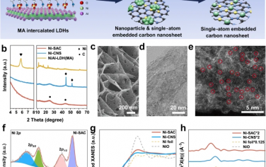北京化工大學Nature Commun：有機氧化耦合ORR電化學制備H2O2