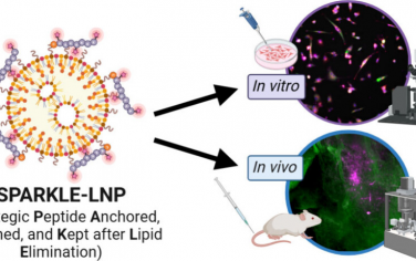 Nano Letters：開發用于通用脂質納米粒子在二維和三維成像中可視化和追蹤的化學標記物