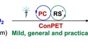 四川大學(xué)JACS：光催化CO2對C(sp3)-H羧酸化