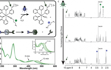 JACS：生物發光共振能量轉移(BRET)可介導自發光的光響應性生物材料實現蛋白質釋放