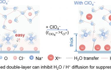 天津大學(xué)JACS：陰離子導(dǎo)致陽極雙電層變寬增強氯電催化反應(yīng)效率