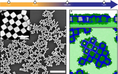 Nature Communications：通過非特異性相互作用實現(xiàn)納米晶體棋盤圖案的自組裝