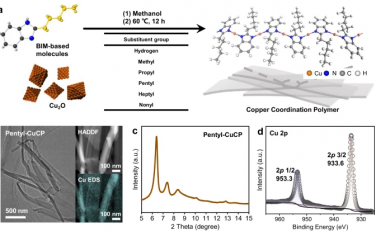 蘇大&西安交通大學Nature Commun：調控聚合物內的Cu原子配位結構增強電催化還原CO2制備C2+選擇性