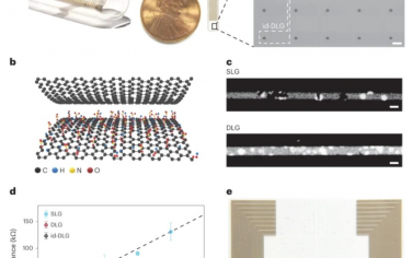 Nature Nanotechnology：高密度透明石墨烯陣列用于從表面電位記錄預測深度細胞鈣活性