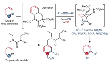 Nature Chemistry：通過從CN到CC的原子對交換對吡啶進(jìn)行骨架編輯