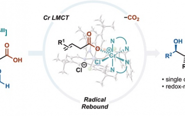 JACS：Cr(III)光催化LMCT由羧酸實(shí)現(xiàn)醛的烯丙基化合成烯丙醇