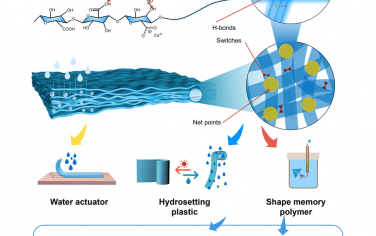 Matter：水致動、形狀記憶的生物聚合物