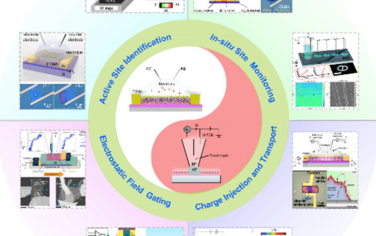 Chem. Rev.：空間受限微電池：TMD催化劑設(shè)計(jì)的一條途徑