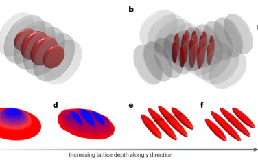 Nature Physics：強相互作用超冷玻色子中2D–1D交叉的觀測