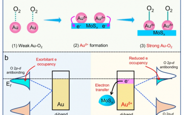 Nature Commun：Au助催化劑增強光催化制備H2O2