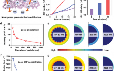 中國科學技術大學&江南大學Adv Mater：共軛聚合物氣凝膠作為新型單原子催化劑