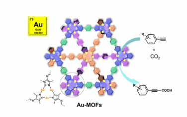 JACS：金(I)-有機框架作為炔烴與 CO2 羧化的催化劑