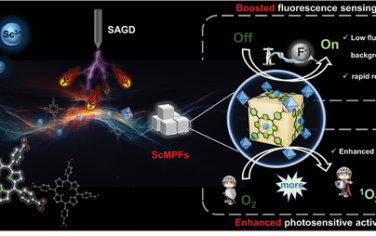 四川大學(xué)Adv Mater：Plasma-液相界面合成Sc-卟啉金屬?gòu)?fù)合材料用于傳感和光敏化