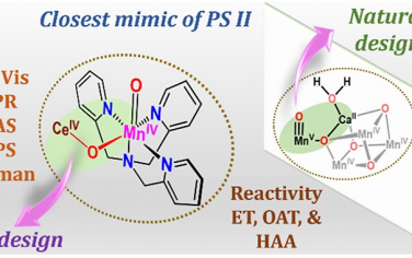 JACS：發現PSII類似的MnIV(O)(μ-O)CeIV中間體并且研究其反應性