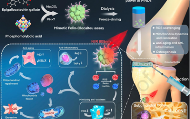 Biomaterials：鉬納米點可作為抗氧化劑實現骨關節(jié)炎光熱治療