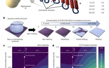 Nature Nanotechnology：絲素蛋白作為水性納米加工的表面活性劑