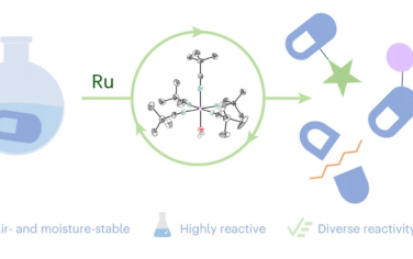 Nature Chem：一種對空氣水蒸氣穩定的Ru預催化劑