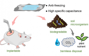 ACS Nano：用于環境友好和生物相容性儲能的可生物降解高性能微型超級電容器