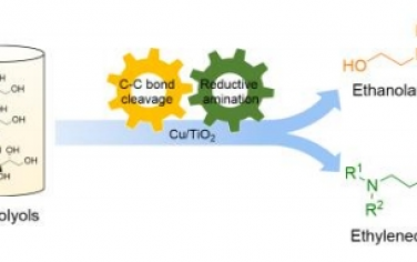 Angew：Cu/TiO2 催化劑光催化從生物多元醇生產(chǎn)乙醇胺和乙二胺