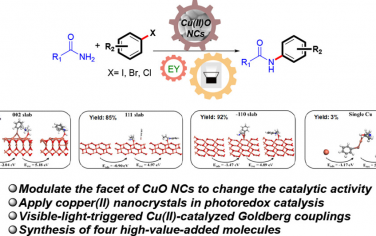 ACS Catal：可見光催化-CuO協同Goldberg偶聯