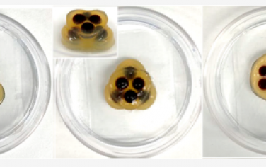 JACS：通過擴散粘附凝膠組裝制造形狀和圖案的超分子多重凝膠器物體