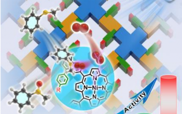 江海龍等Angew：調節外層環境增強卟啉COF光催化氧化性能