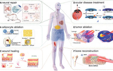 AFM：調(diào)整光熱水凝膠的物理化學(xué)性質(zhì)以實現(xiàn)內(nèi)在再生療法