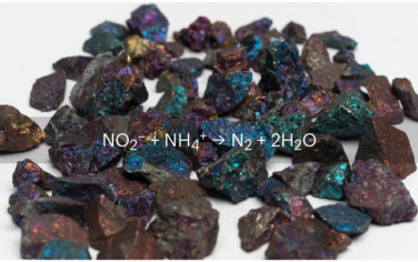 Nature Chem：硫化銅礦物催化擬酶制備N2