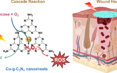 ACS Nano：錨定在氮化碳上的單原子銅可作為葡萄糖氧化酶-過氧化物酶雙功能納米酶以實現抗菌治療