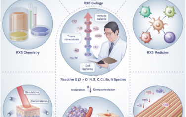 Chem. Soc. Rev：活性X(其中X = O, N, S, C, Cl, Br和I)物種納米醫(yī)學(xué)