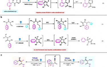 福建物質結構研究所Nature Commun：CO2促進光催化芳基從N到C原子轉移合成烯基酰胺