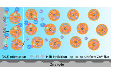 ACS Nano：痕量添加劑的原子釘扎誘導高度可逆鋅金屬陽極的界面溶劑化