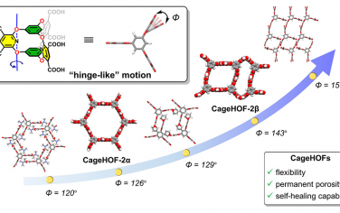 JACS：通過柔性籠構筑氫鍵有機骨架HOF