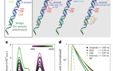 Nature Nanotechnology：多參數光譜法檢測納米結構FRET標記物的單分子熒光多路復用