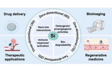 Chem. Soc. Rev.：含硅納米醫(yī)學與生物材料中材料化學、多維設計與生物醫(yī)學應用