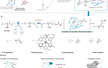 Nature Commun：銨陽離子非共價相互作用促進聚乙二醇C-H鍵活化