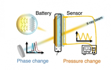 ACS Nano：用于柔性鋅離子電池和多功能健康監(jiān)測電子設備的水凝膠電解質