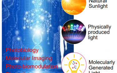 Angew綜述：分子產生的光及其生物醫學應用