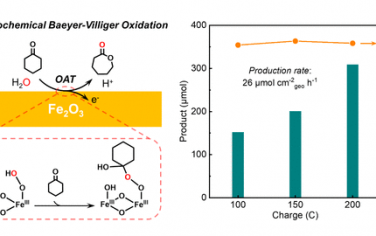 JACS：水分子氧原子轉(zhuǎn)移Baeyer-Villiger氧化