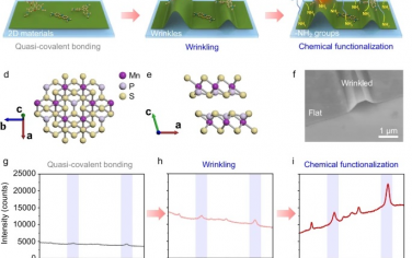 Nature Commun：機械化學產生褶皺2D MnPS3實現超高靈敏度分子傳感