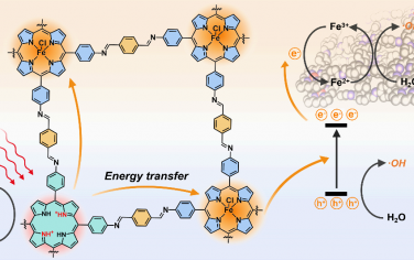 JACS：同時質子化和金屬化卟啉共價有機框架以增強光動力治療