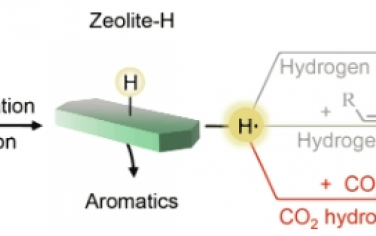 Science Advances：沸石-金屬氧化物體系催化聚乙烯與二氧化碳的偶聯(lián)轉(zhuǎn)化