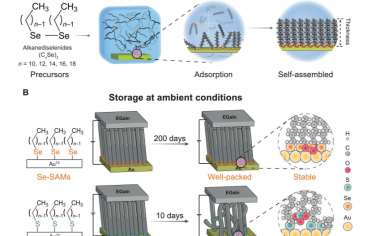 Science Advances：用于空氣穩(wěn)定分子連接的超長壽命自組裝單分子層