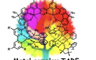 Chem. Soc. Rev.：基于金屬絡合物的TADF：設計、表征和照明設備