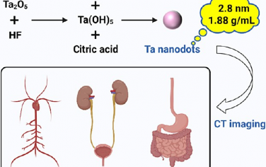 ACS Nano：克級合成可通過腎臟清除的高水溶性鉭納米點以用于計算機斷層成像