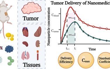 ACS Nano：對納米顆粒在荷瘤小鼠腫瘤和主要器官中的分布進行meta-分析