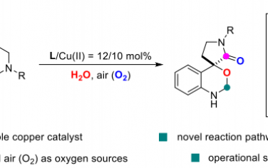 Angew：以 H2O 和 O2 作為氧源的銅催化四氫-β-咔啉的氧化骨架重排
