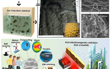 同濟大學Adv Mater：MXene/rGO輕便耐褶皺的抗電磁干擾可穿戴器件