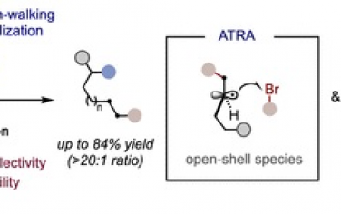 JACS：Ni催化烯烴區(qū)域發(fā)散雙官能團(tuán)化