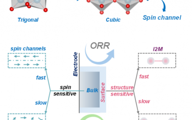 Angew：自旋調控增強SrCoO3電催化OER、ORR性能